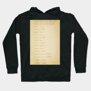 Indefinite Integral Hoodie